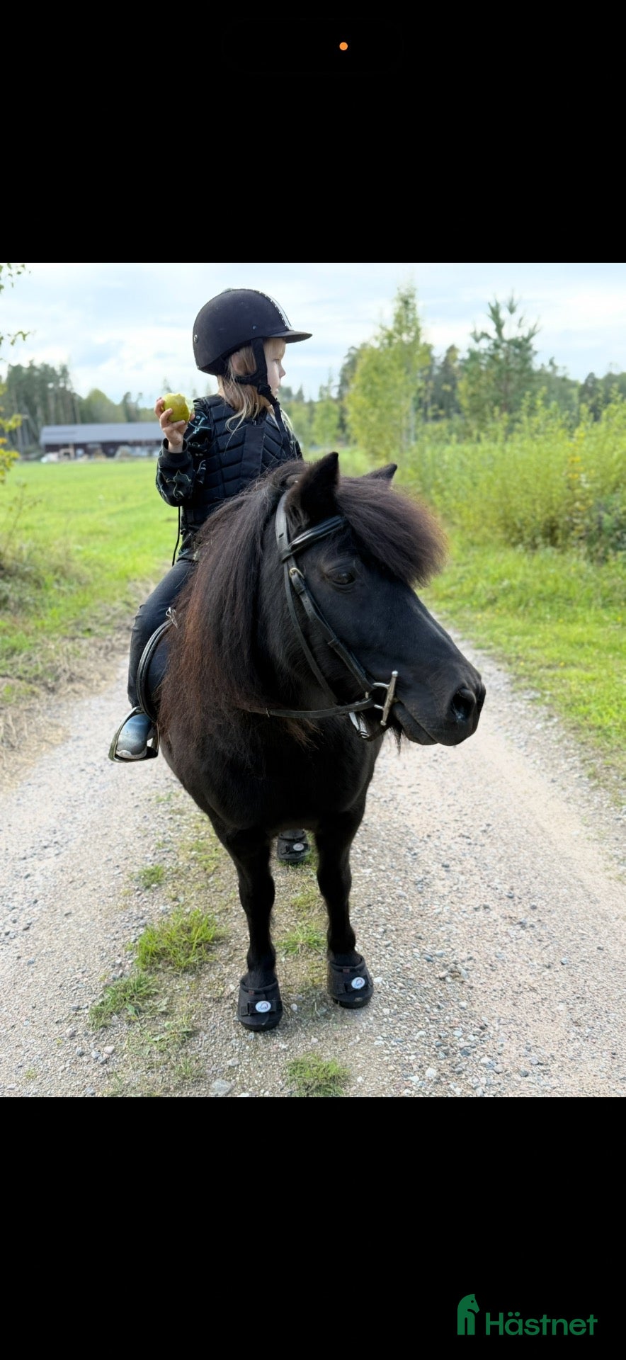  hästar Supersnäll barnponny - Annons 1