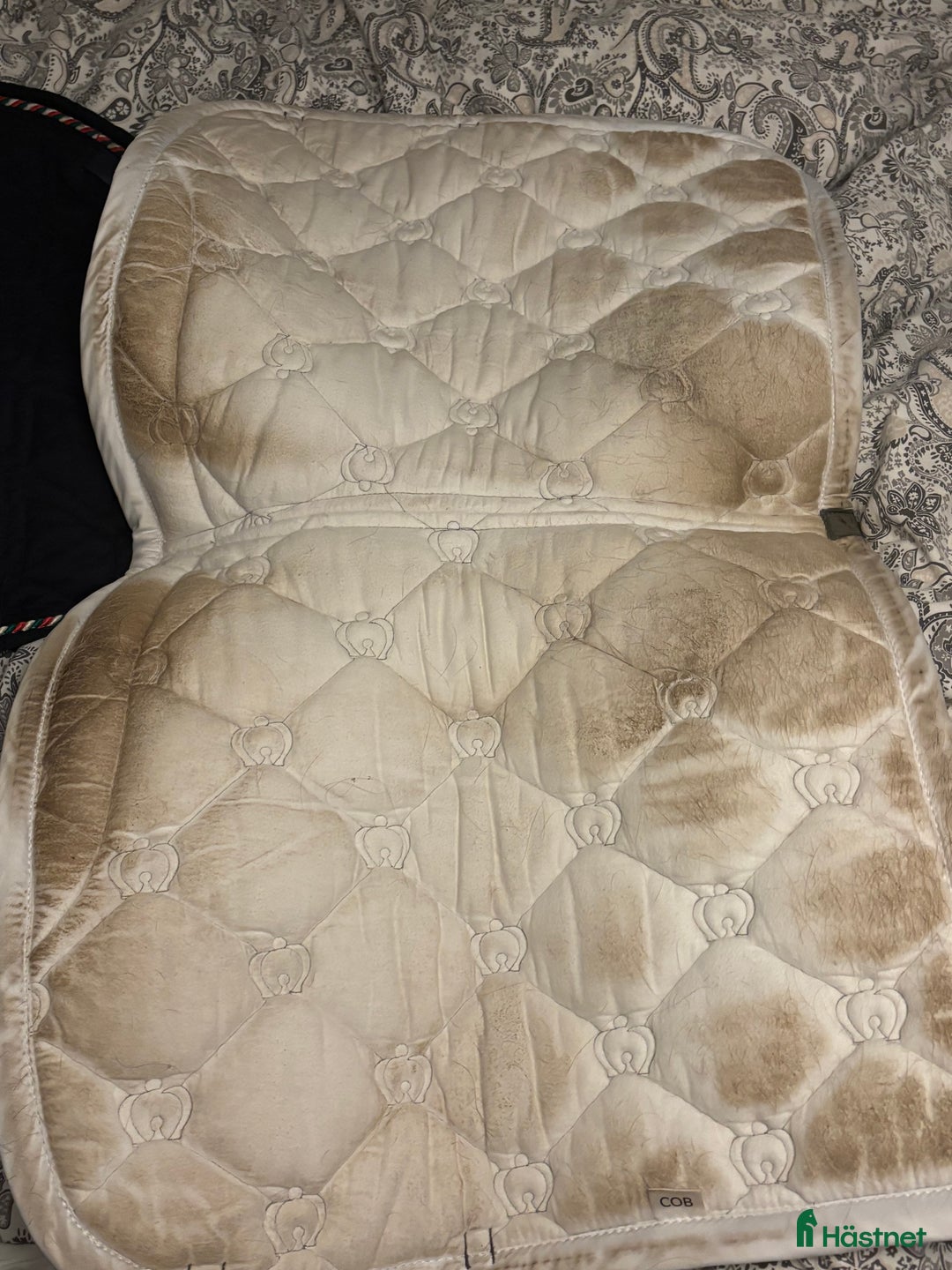 Schabrak & Vojlockar hästutrustning till salu: Grått PS dressyrschabrak i Östersund - Annons 2