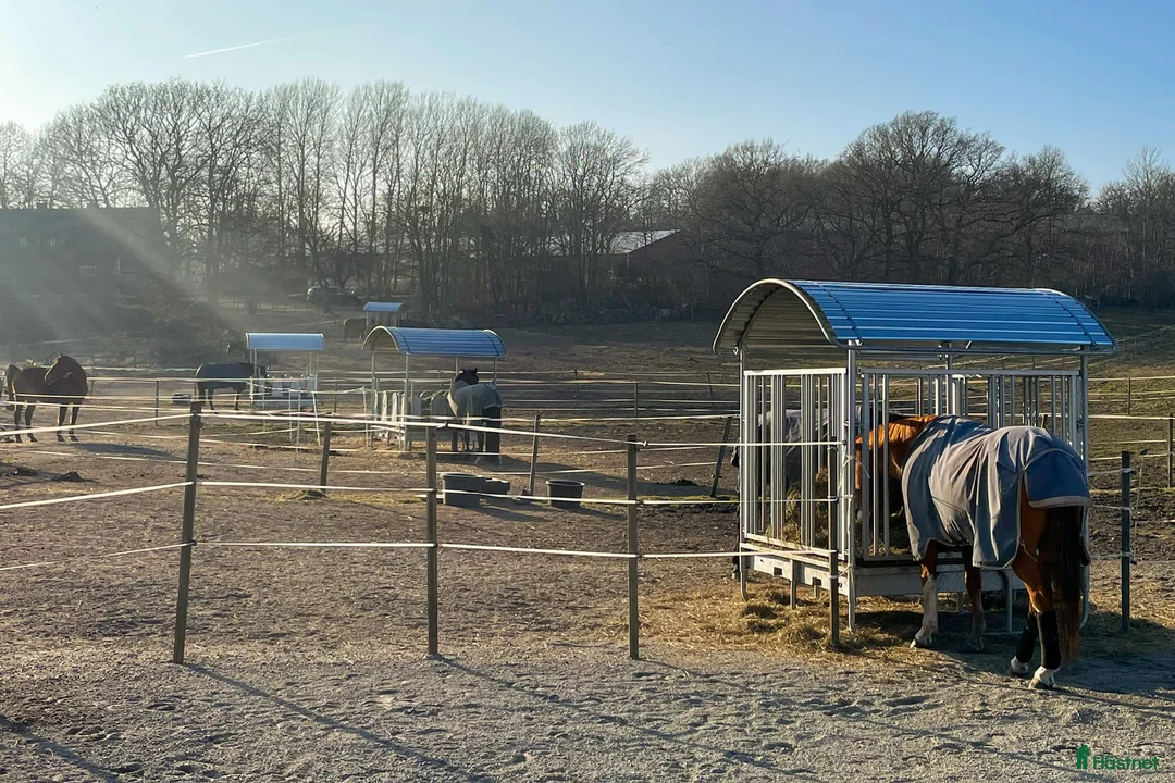  stallplats finnes: ✨ Lediga stallplatser i Karlskrona✨ i Lyckeby - Annons 4