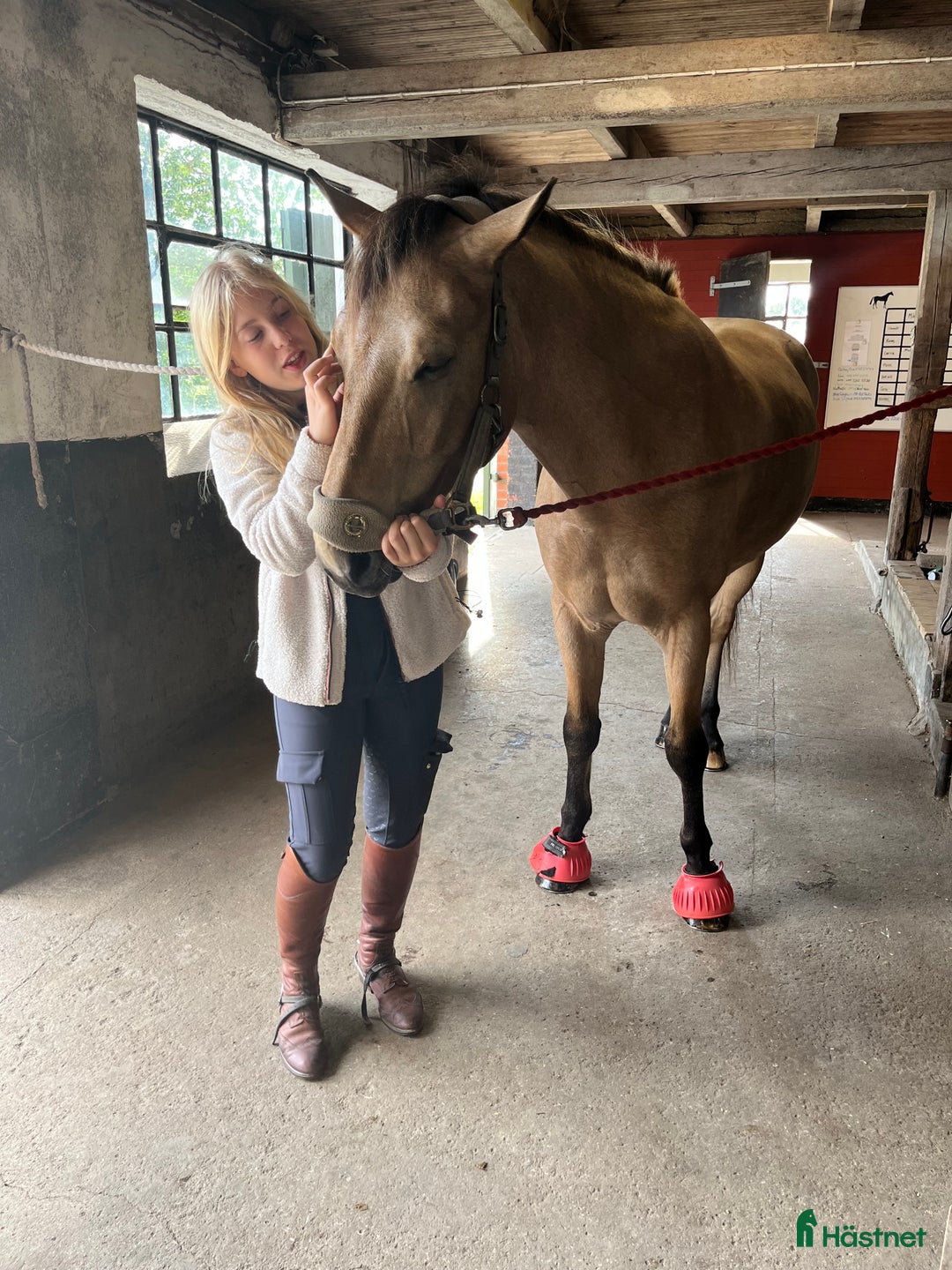  medryttarhäst finnes: Stor d ponny söker medryttare i Klagstorp - Annons 5