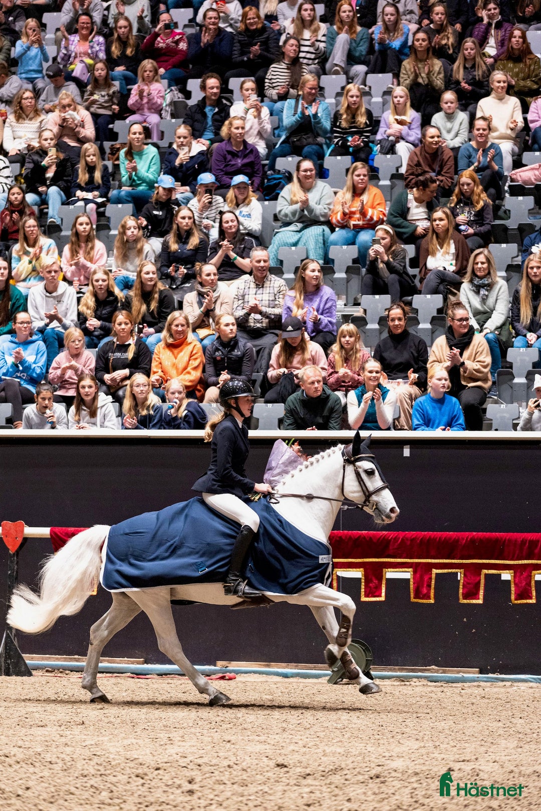 Hoppning hästar till salu: Topp kat.1 ponni til salgs i Bryne - Annons 2