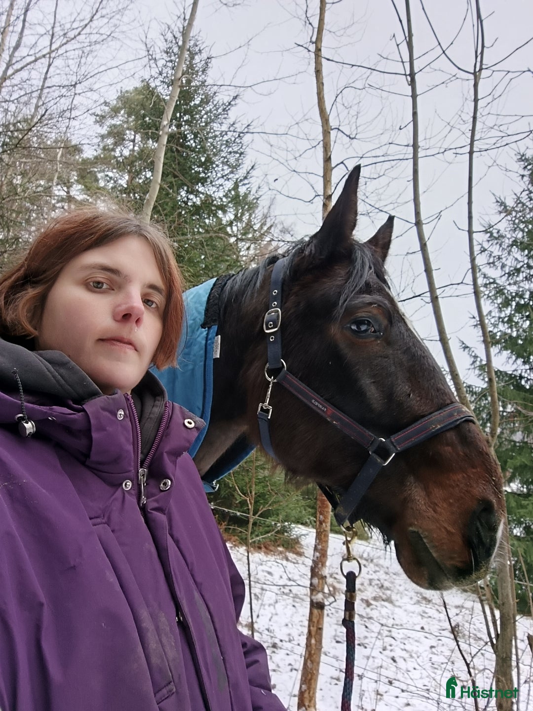  hästjobb finnes: Stalljobb sökes. - Annons 3