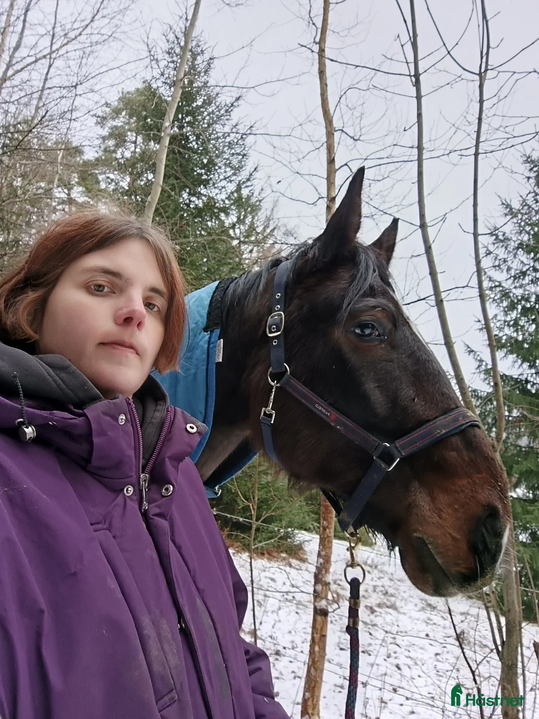  hästjobb finnes: Stalljobb sökes. - Annons 3