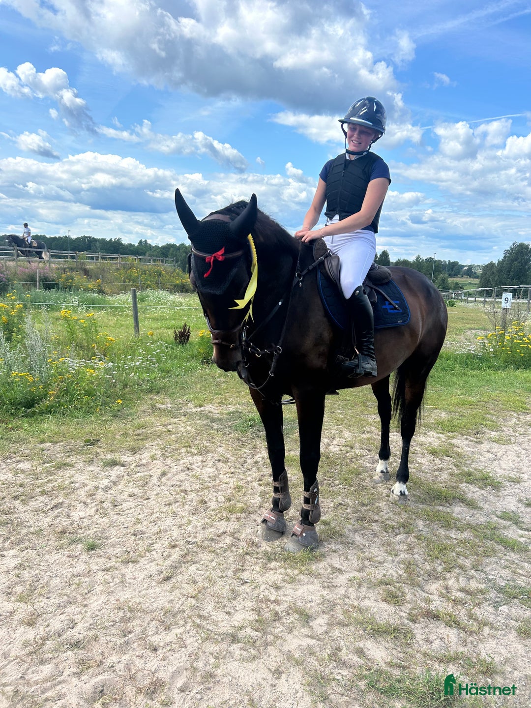 Hoppning hästar till salu: Fin tävlingshäst  i Gamleby - Annons 2