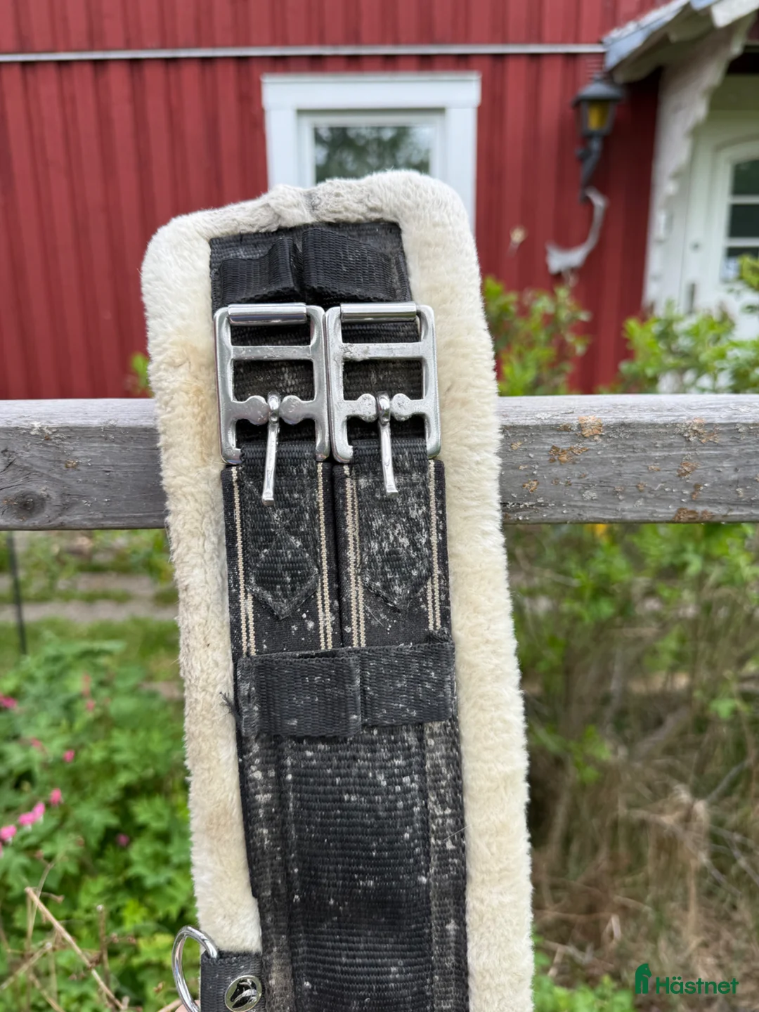 Sadeltillbehör hästutrustning till salu: Dressyrgjord - Annons 2