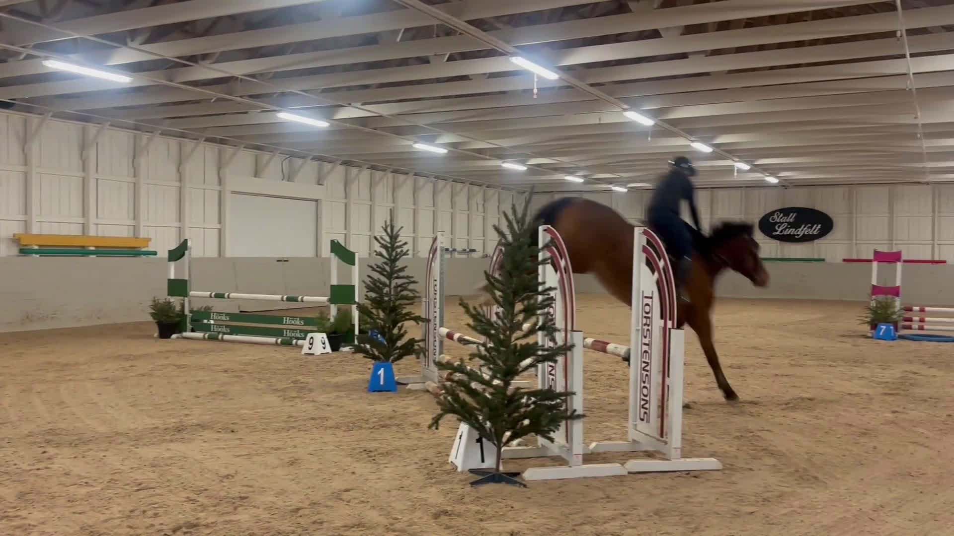  foderhäst sökes: Unghästutbildare finnes - Video 1