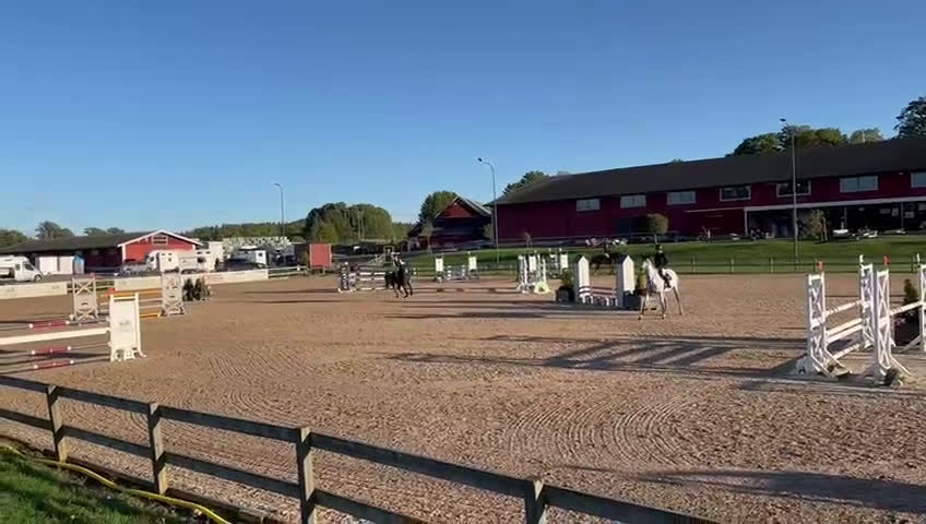 Hoppning hästar till salu: Sto med bra hoppkvalitet  - Video 4