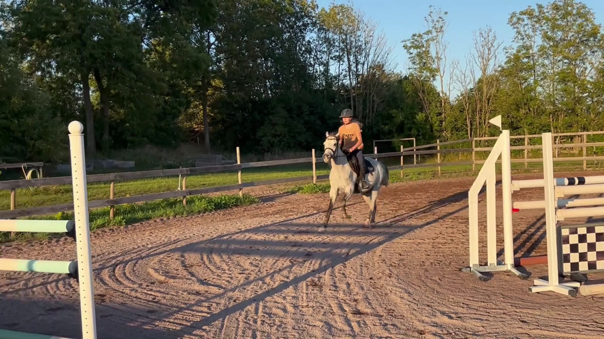 Hoppning hästar till salu: Fantastisk ponny på alla sätt! i Kalmar - Video 1