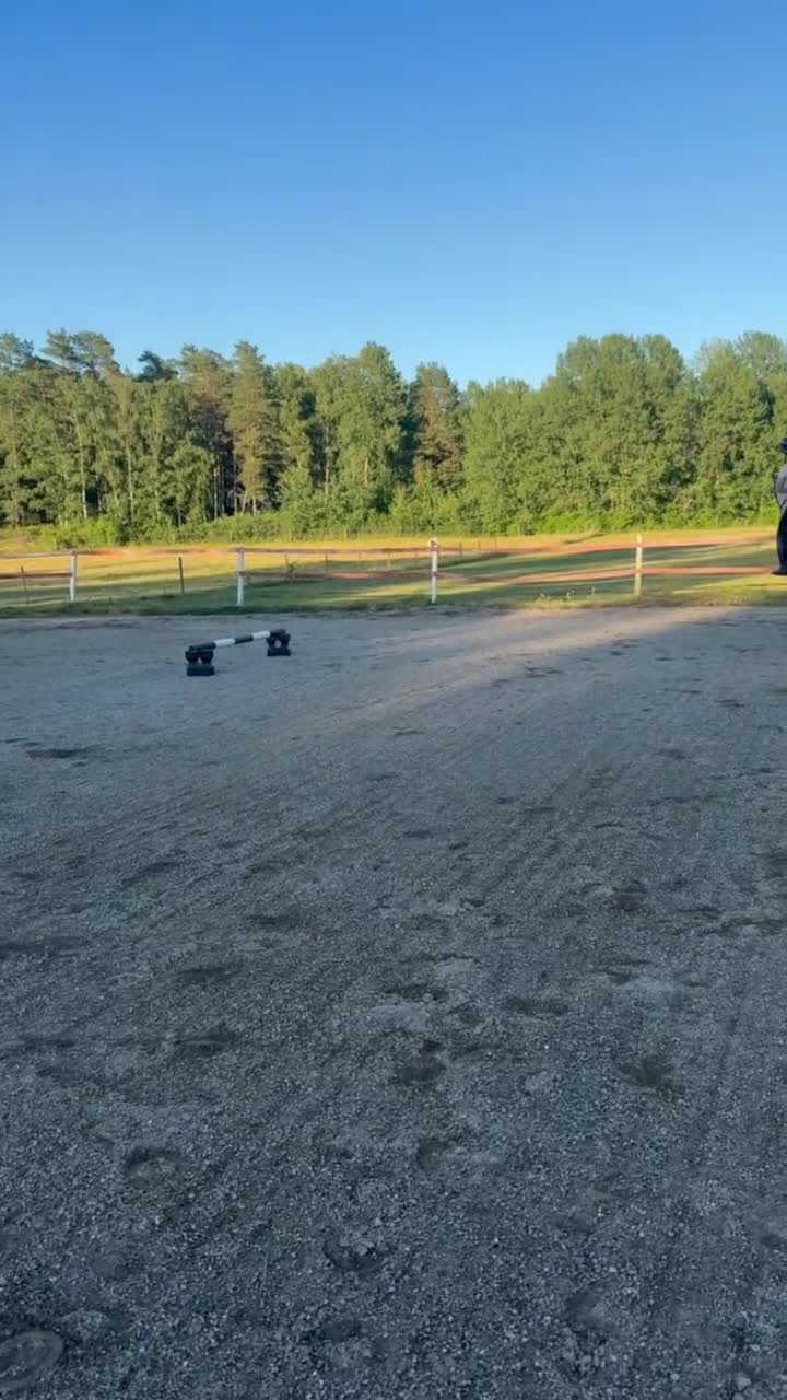 Hoppning hästar till salu: Cool hopphäst  - Video 3