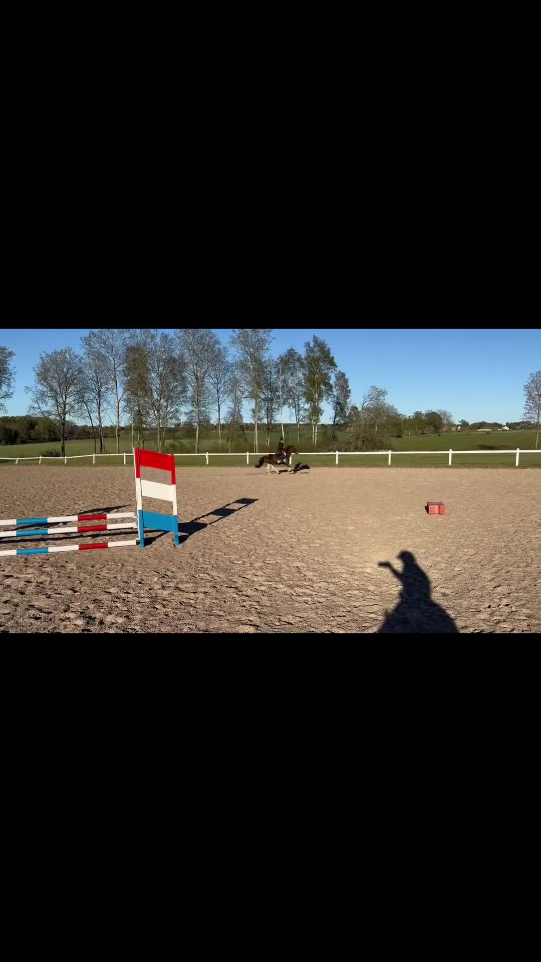 Allround hästar till salu: Pigg och positiv ponny söker kärleksfullt hem.  - Video 2