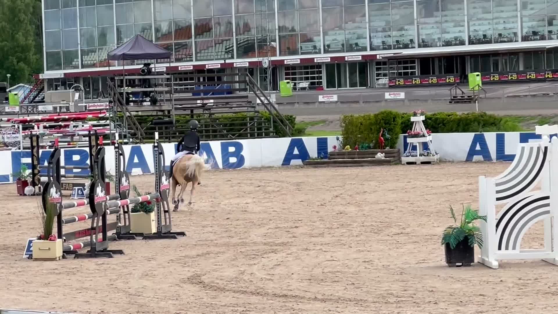 Hoppning hästar till salu: Sportig snäll ponny med mkt energi - Video 2