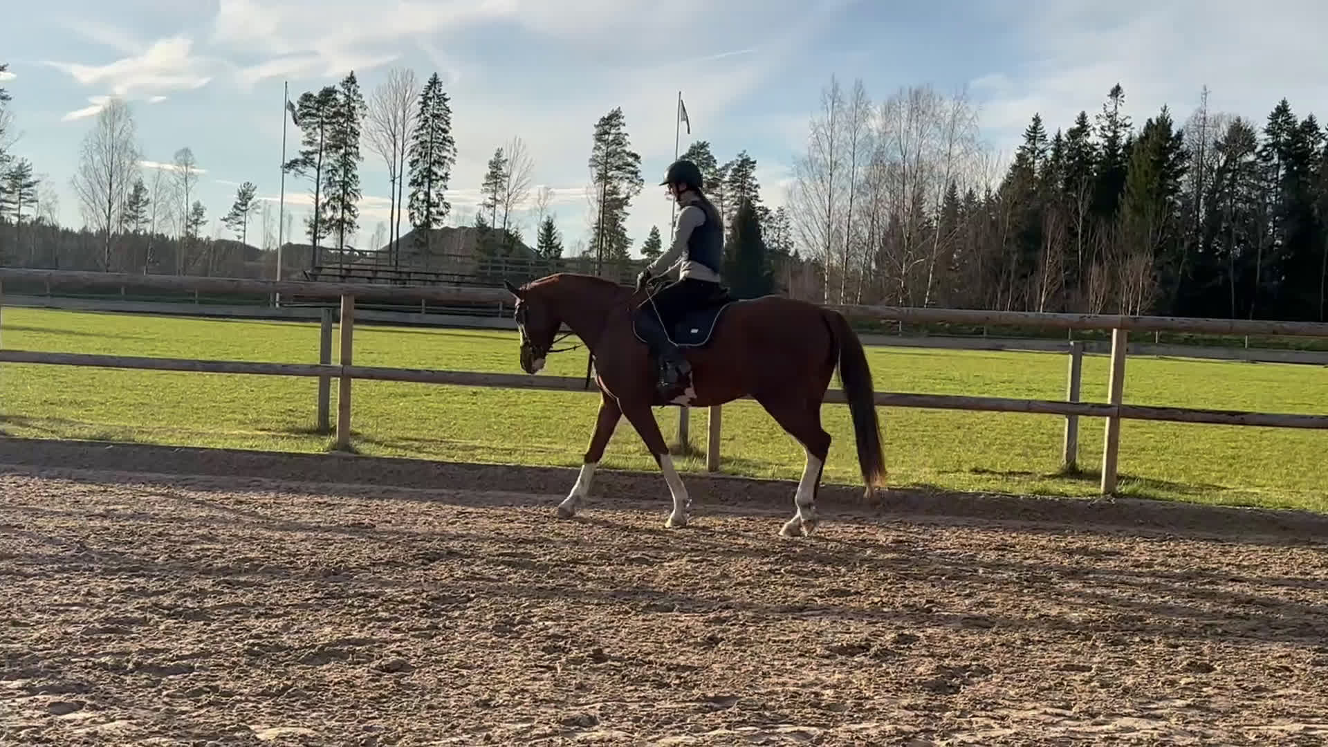  medryttarhäst finnes: Hoppryttare sökes till unghäst - Video 3