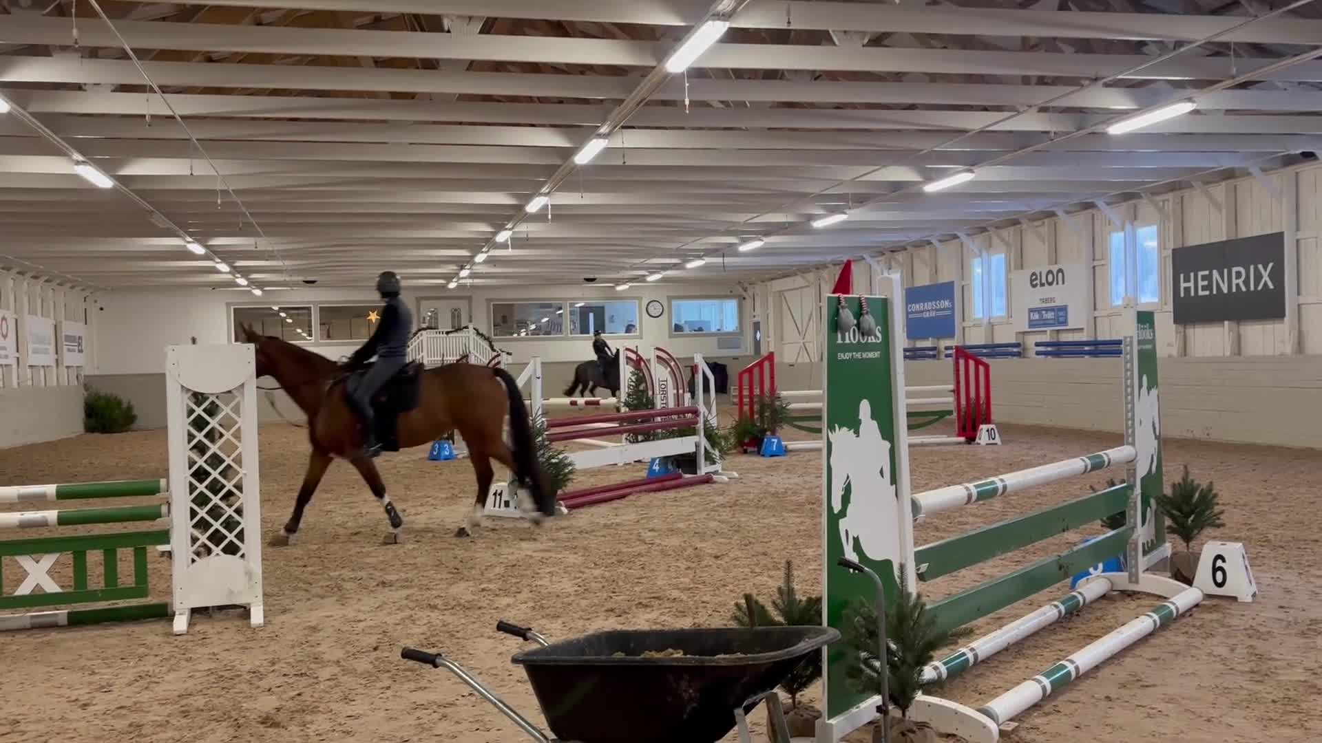 Hoppning hästar till salu: Framtida rosettplockare - Video 1