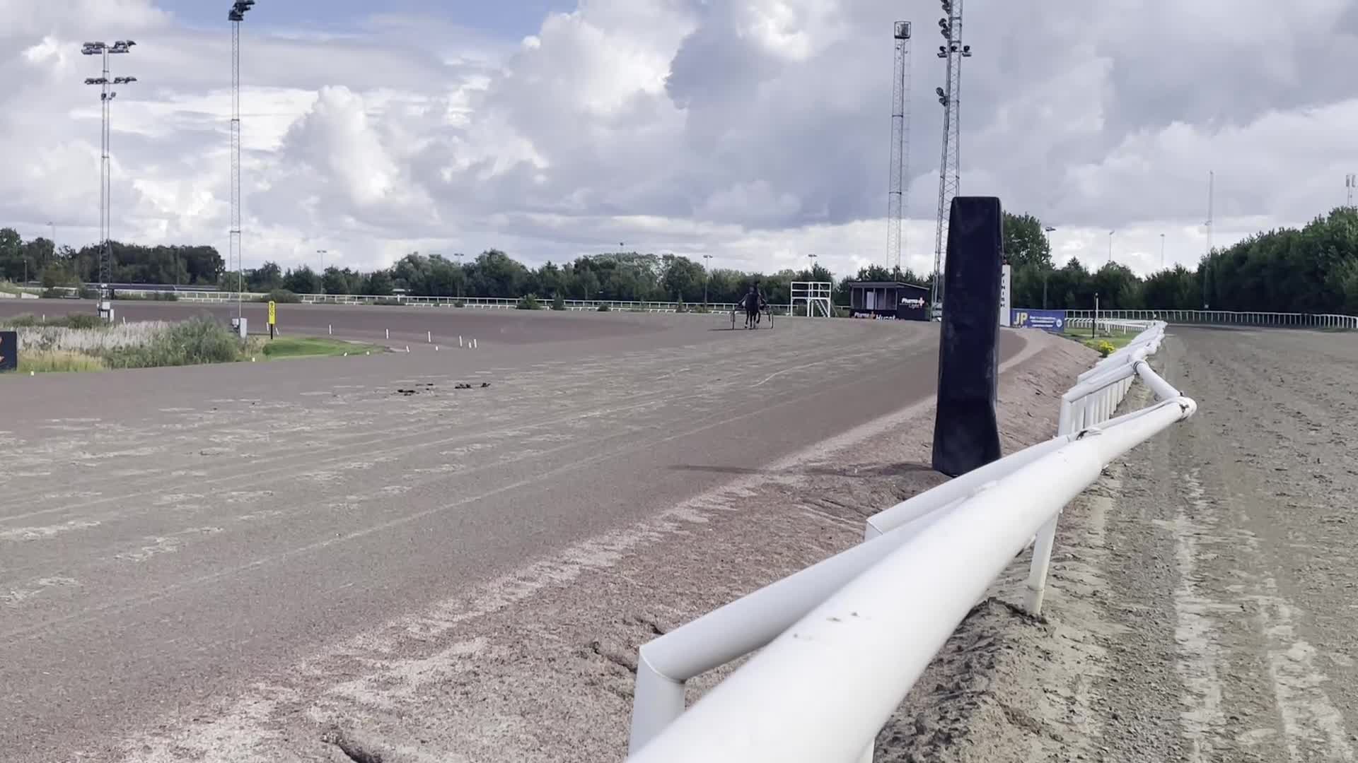 Trav hästar till salu: Kapabel 2-årig valack - Video 4
