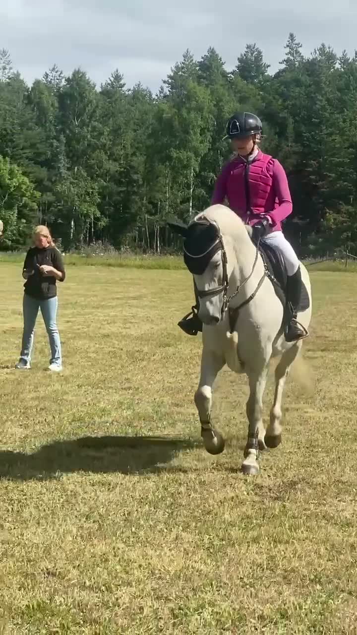 Hoppning hästar till salu: Snällaste Issy söker nytt hem.  - Video 3