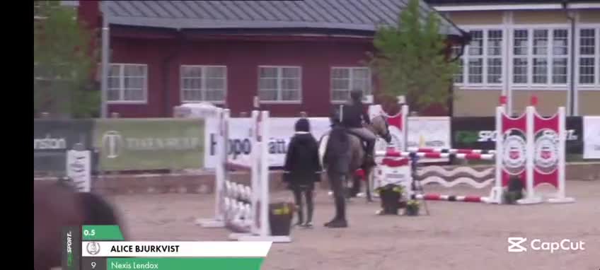 Hoppning hästar till salu: Läromästare till salu  i Kilafors - Video 2