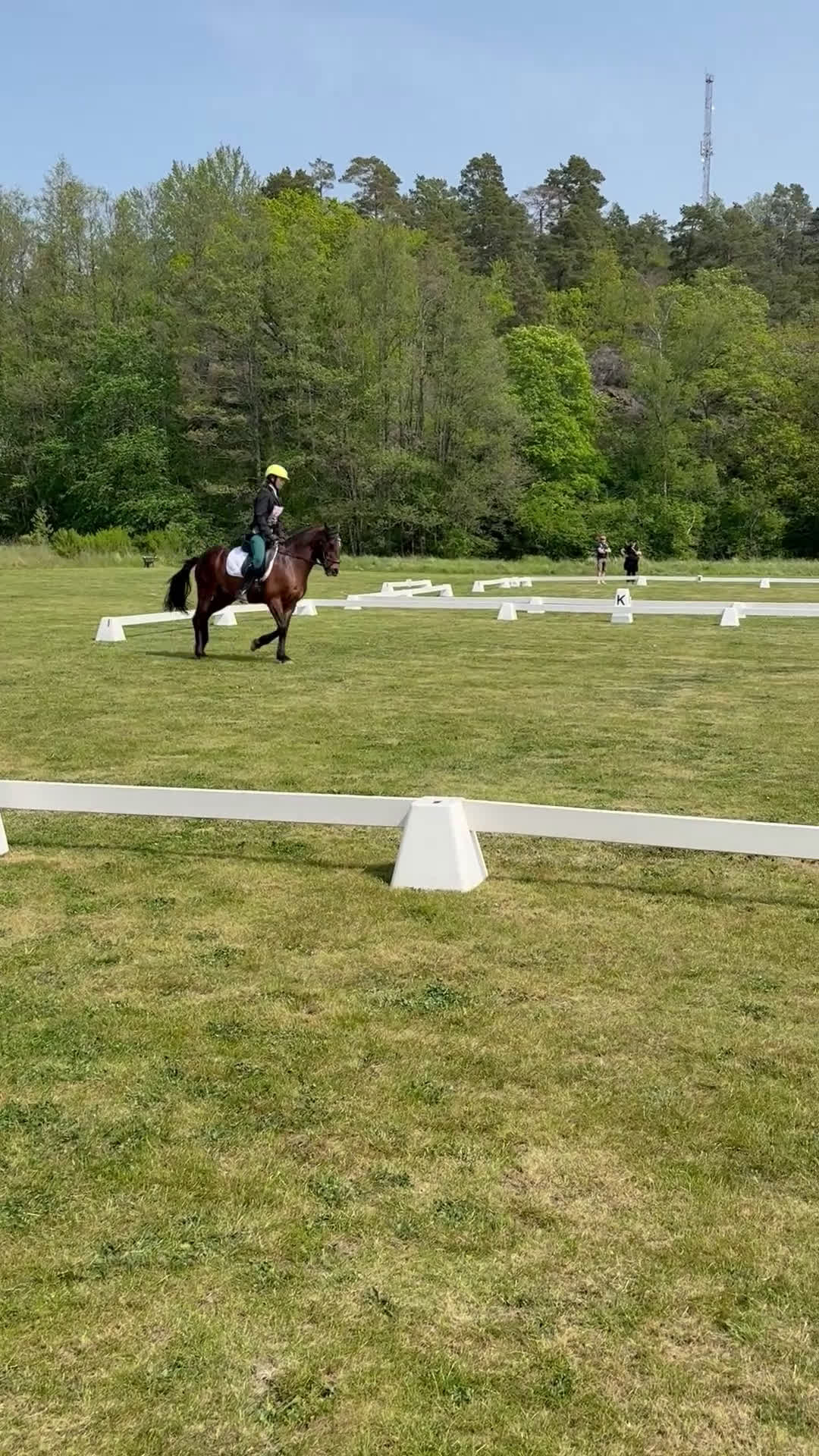 Allround hästar till salu: Fantastisk läromästare! - Video 5