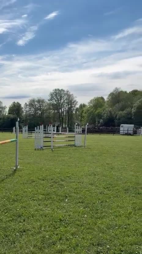 Hoppning hästar till salu: SWB-valack, f. 18, e. Click and Cash - Video 2