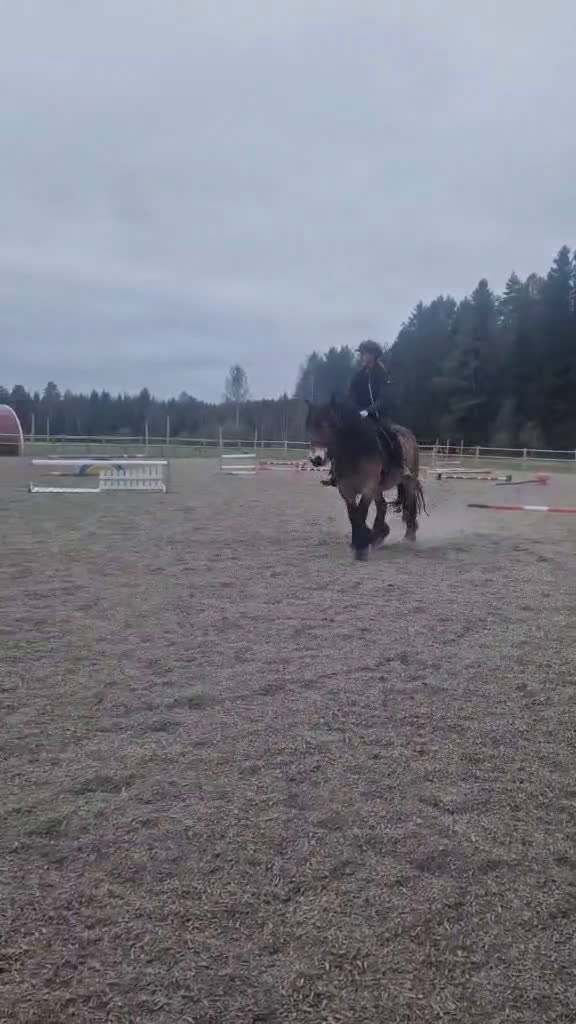 Körning hästar till salu: Fin inkörd/inriden valack 4 år i Månkarbo - Video 3