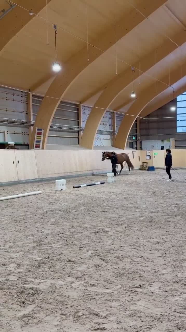 Dressyr hästar till salu: Sto född - 23 e:Benefit  i Säter - Video 2
