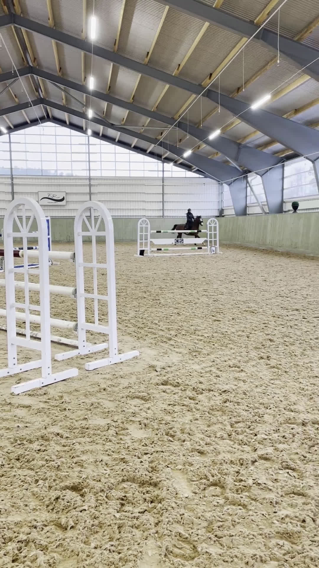 Hoppning hästar till salu: Tävlingskompis - Video 1