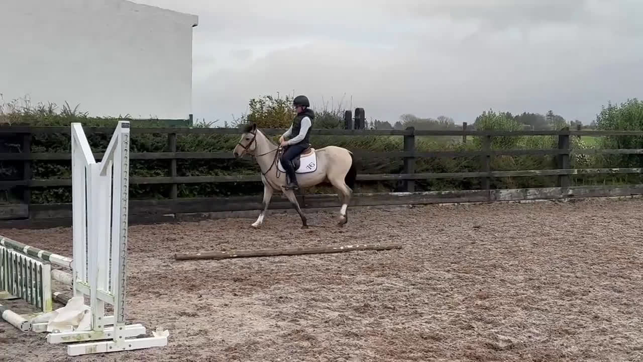 Hoppning hästar till salu: Ljuvlig B ponny ⭐️ i Valbo - Video 1