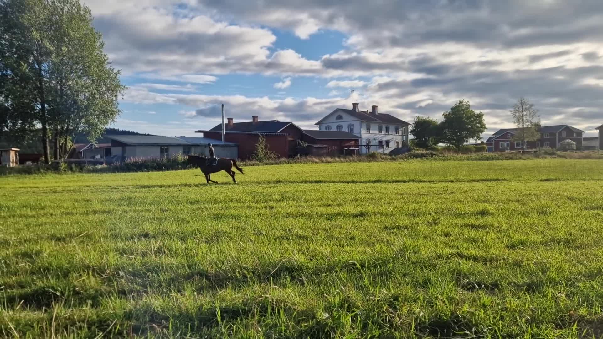 Hoppning hästar till salu: Fin Fyraåring  i Viksjöfors - Video 2