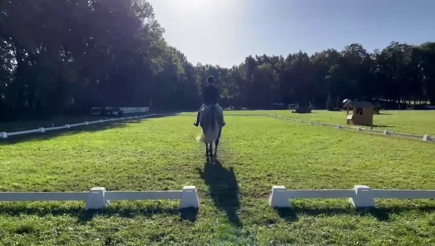 Fälttävlan hästar till salu: Fantastisk fälltävlingshast sælges✨ i Dronninglund - Video 1