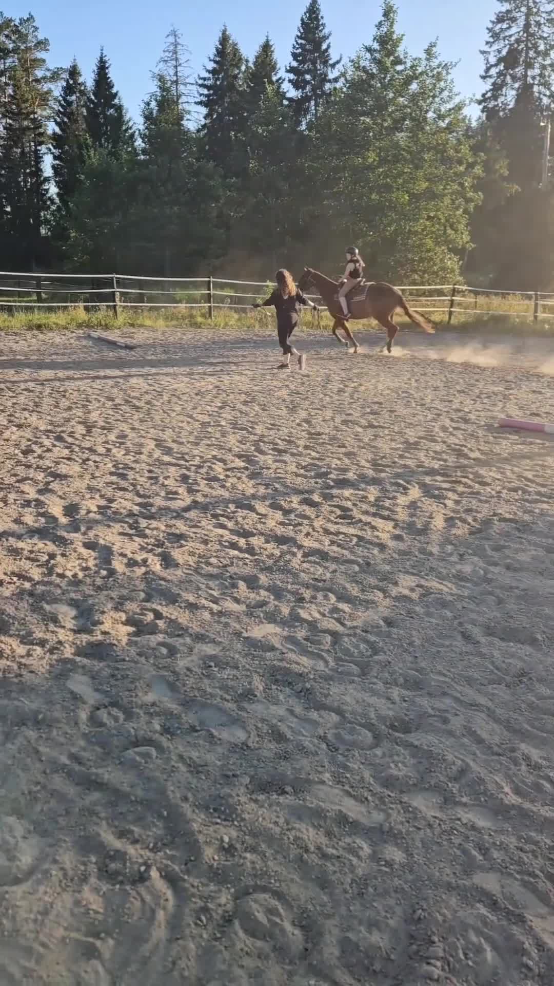 Allround hästar till salu: Korsning quarter - Video 3