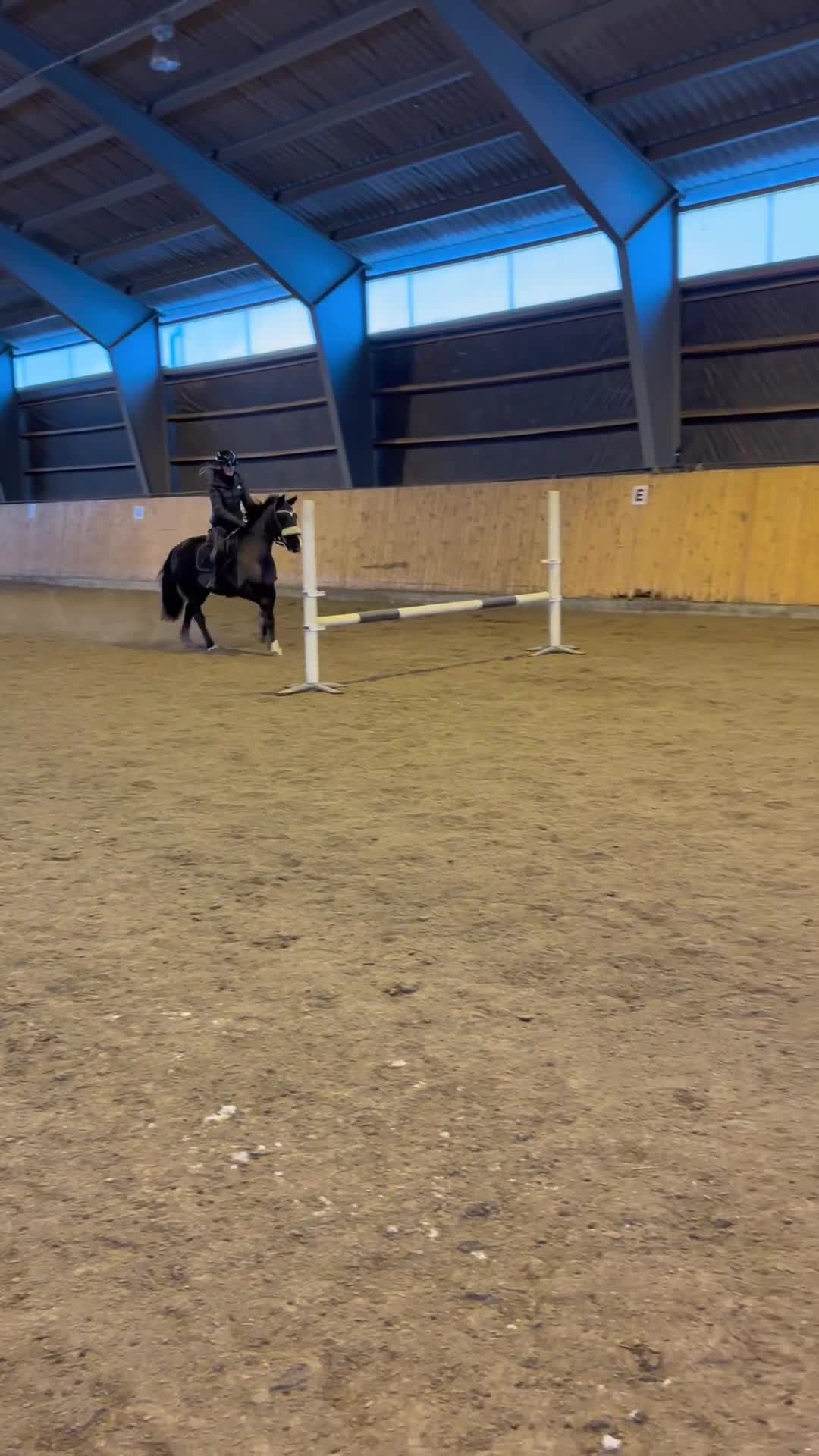 Allround hästar till salu: Ponny med hjärtat på rätt plats  i Gamleby - Video 1