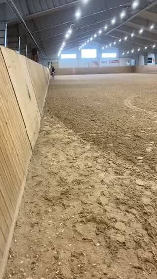 Allround hästar till salu: Charmig ung B-ponny söker rätt hem - Video 3