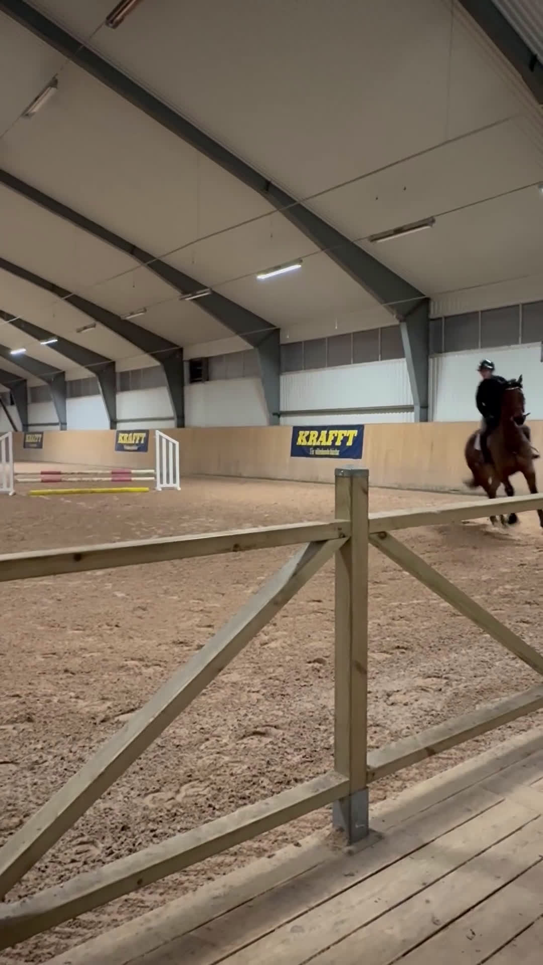 Hoppning hästar till salu: 5 årigt sto e. Capriolo VDL-Carẽme  - Video 2