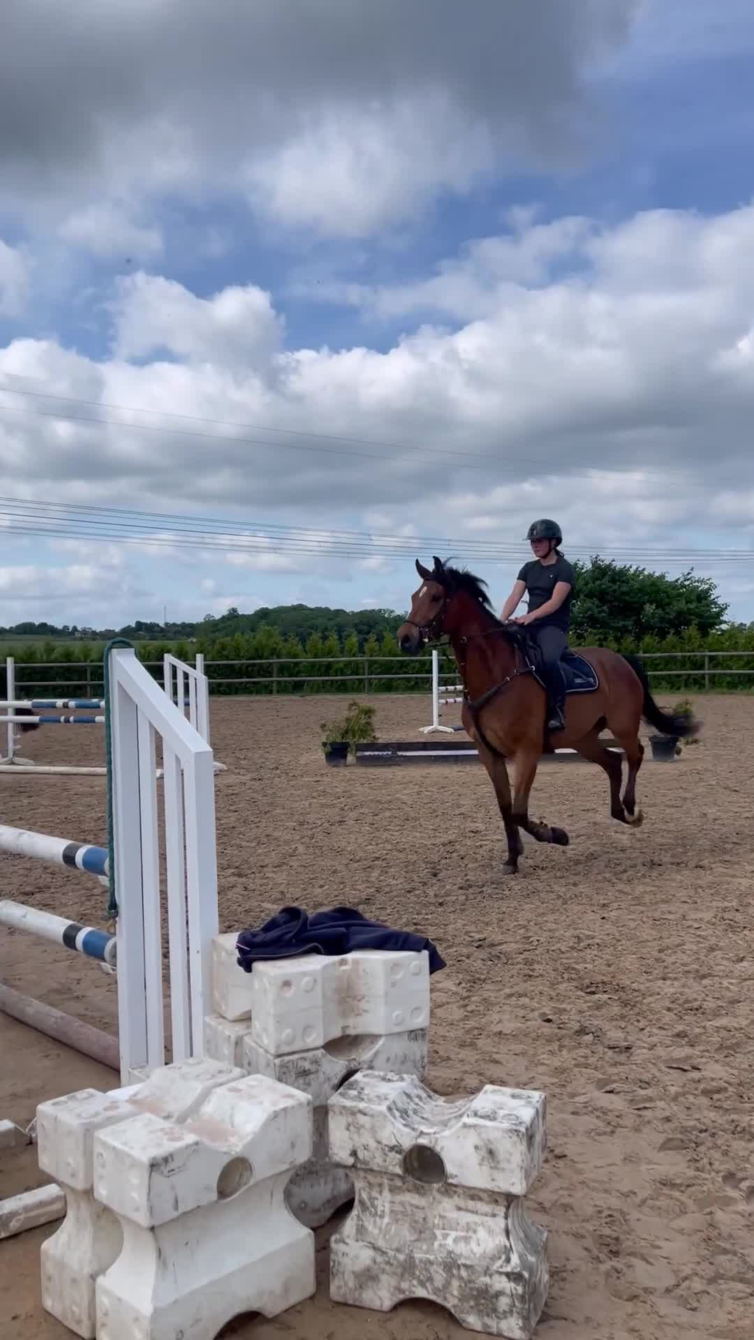 Allround hästar till salu: Trevlig hobbyhäst med mycket fart! i Södra Sandby - Video 3
