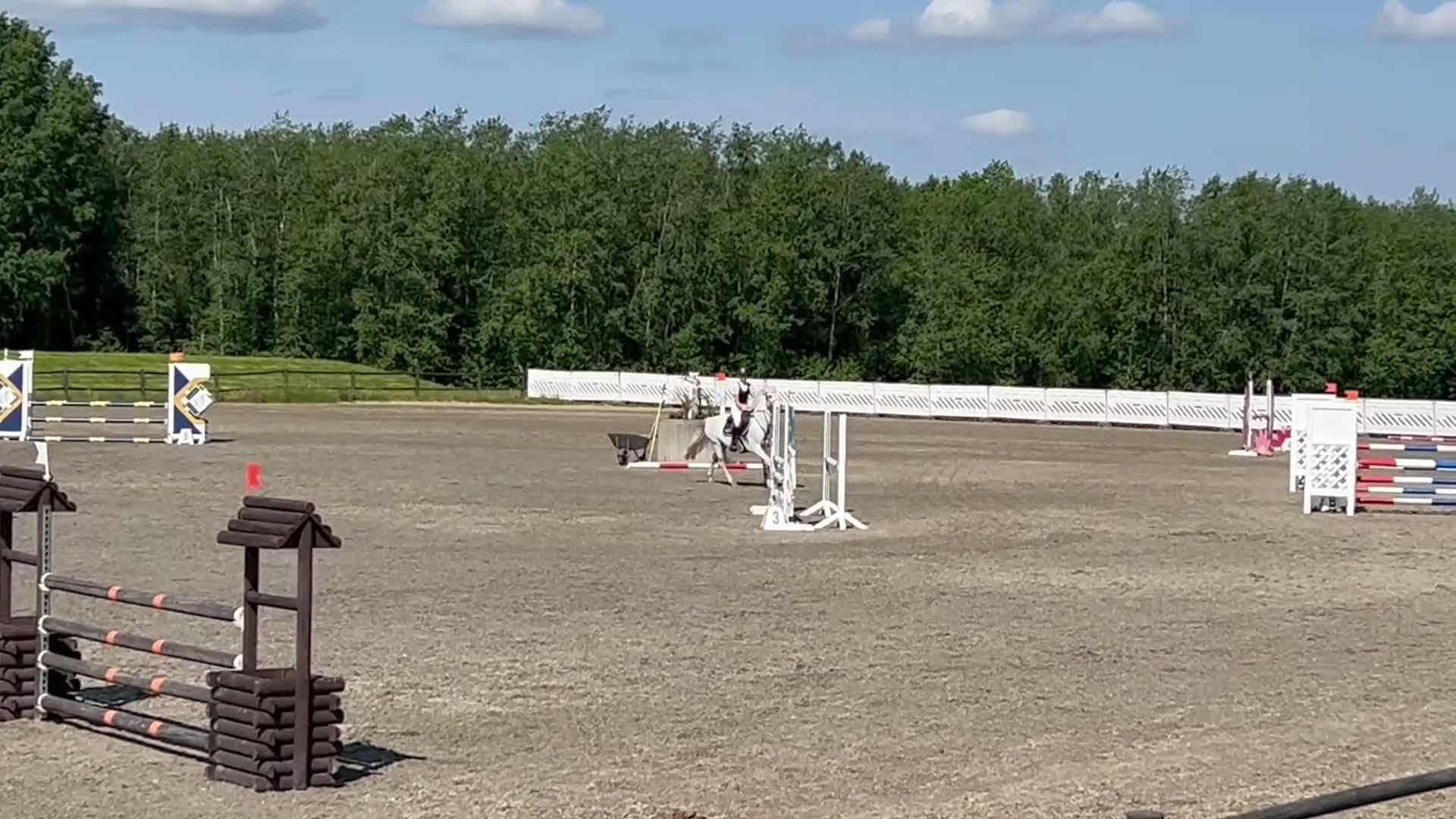 Hoppning hästar till salu: Super, snill og erfaren C-ponni selges - Video 2