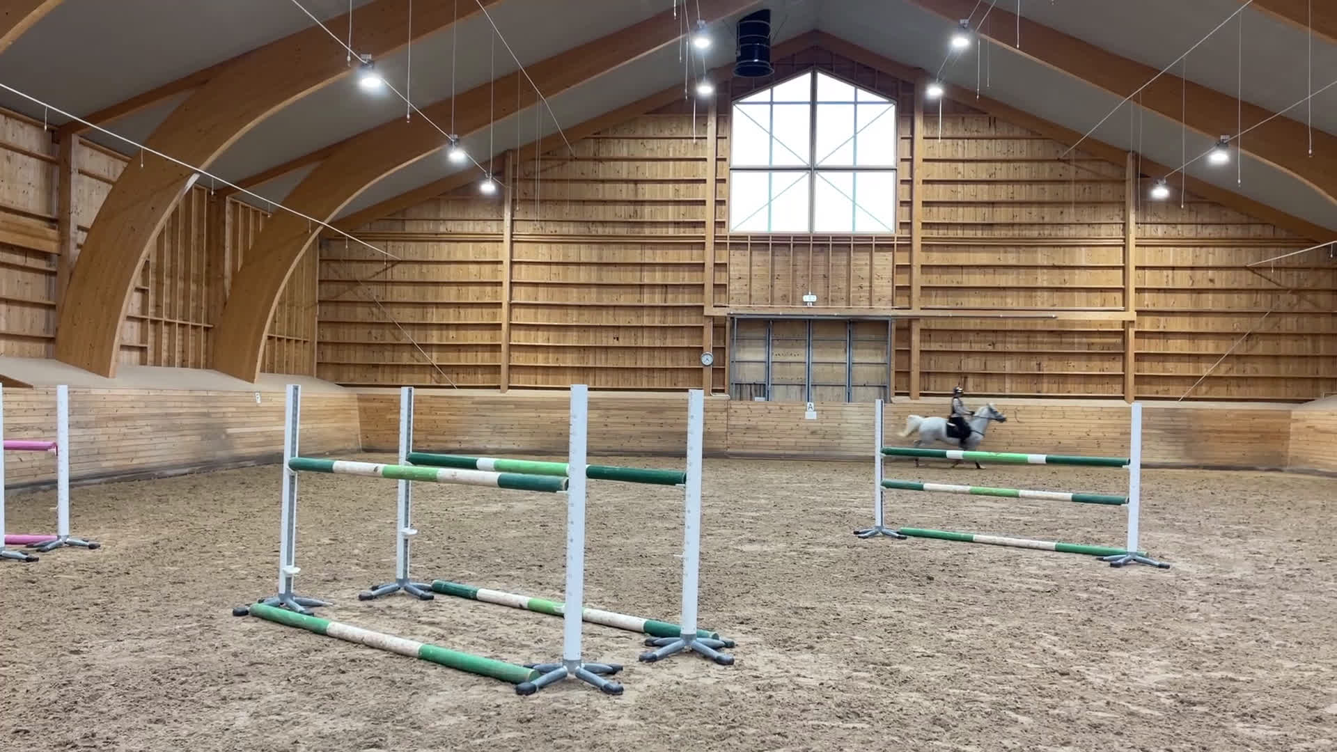 Hoppning hästar till salu: Magisk läromästare  i Upplands Väsby - Video 3