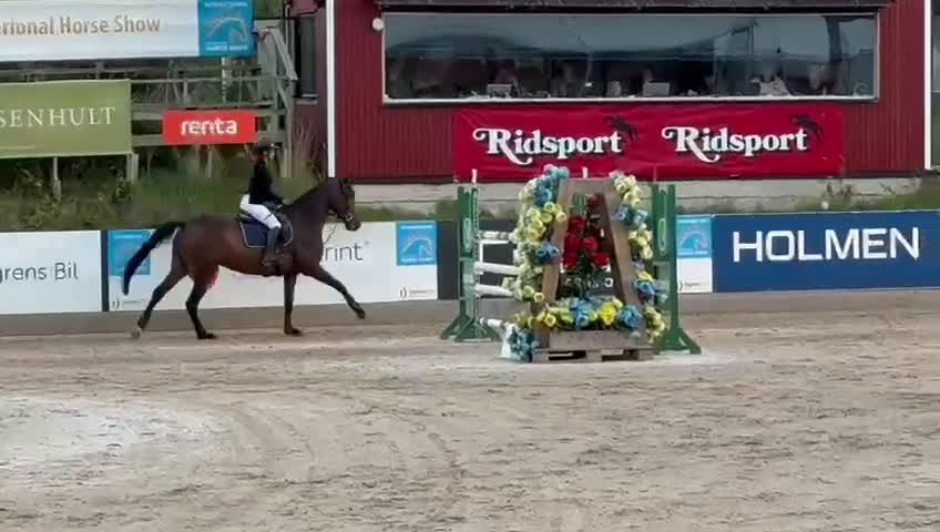 Hoppning hästar till salu: 2019 sto e. Million Dollar/For pleasure/Carthago i Norrköping - Video 2