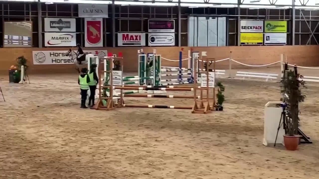 Hoppning hästar till salu: Piggt D ponny sto i Göteborg - Video 1