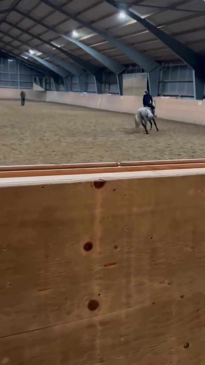 Allround hästar till salu: Sött Svenskfött Connemarasto - Video 1