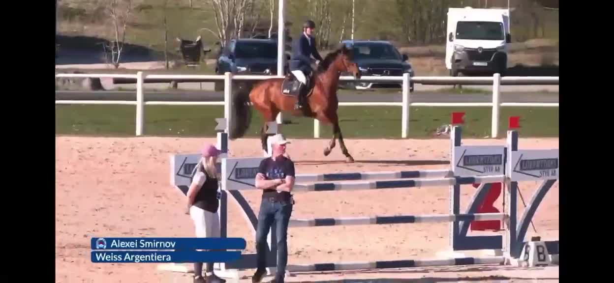 Hoppning hästar till salu: Lovande tävlingshäst - Video 1
