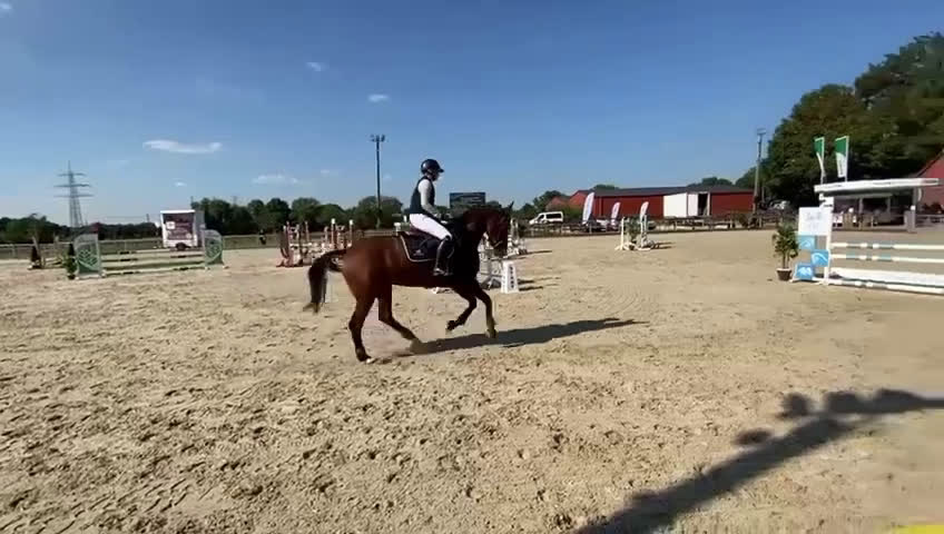 Hoppning hästar till salu: Trevlig som få med mycket potential  i Väderstad - Video 1