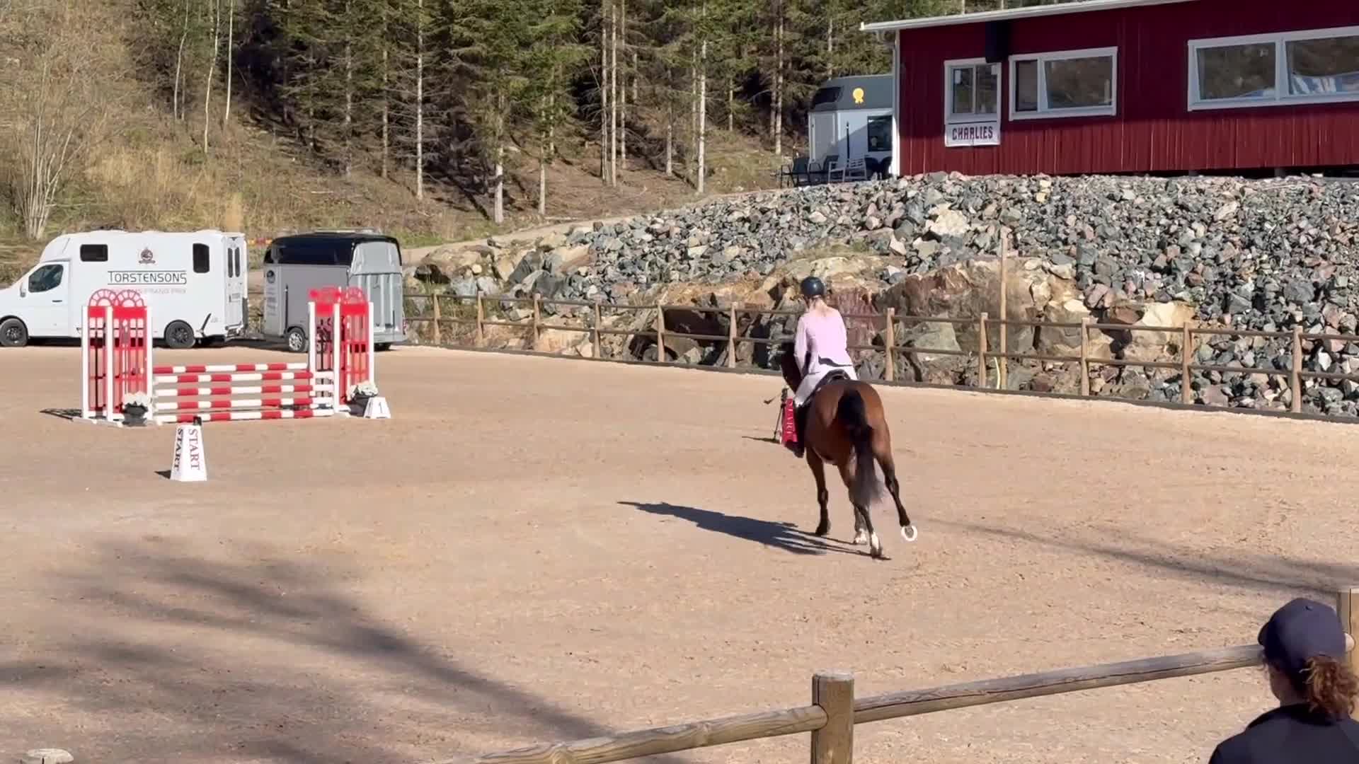 Hoppning hästar till salu: 4åring e: All Star 5 - Video 1