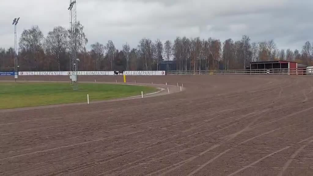 Trav hästar till salu: Leasing - Video 1