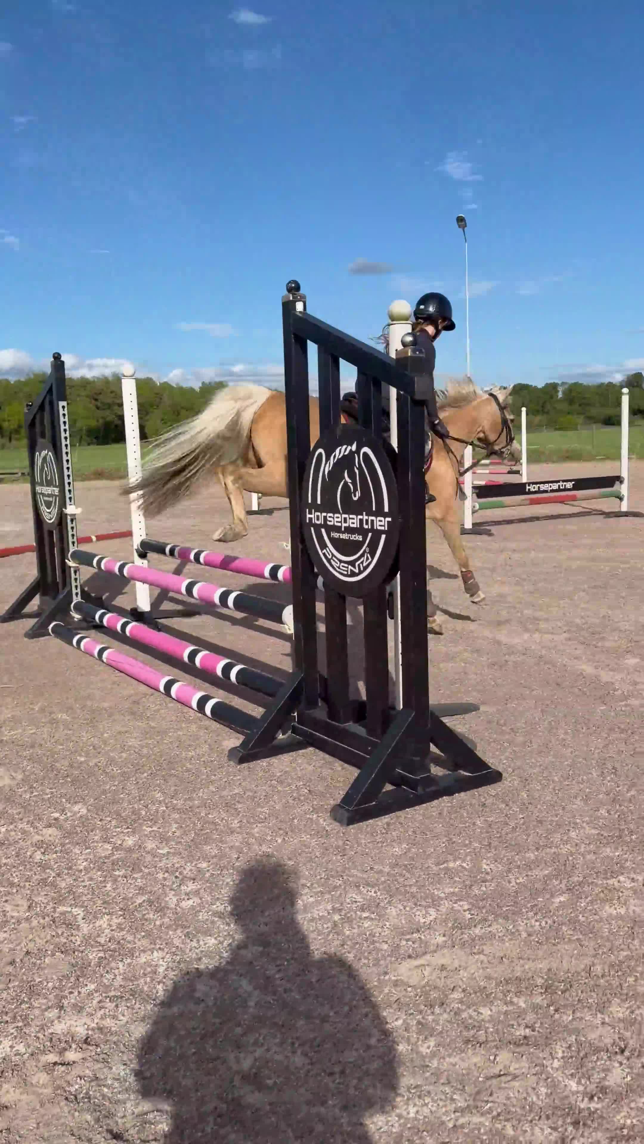 Allround hästar till salu: Drömponny att forma själv🌟 - Video 2