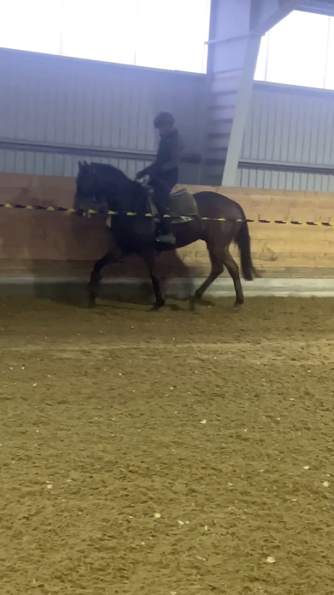 Övrigt hästar till salu: Till Dig med kunskap och tid! i Bälinge - Video 5