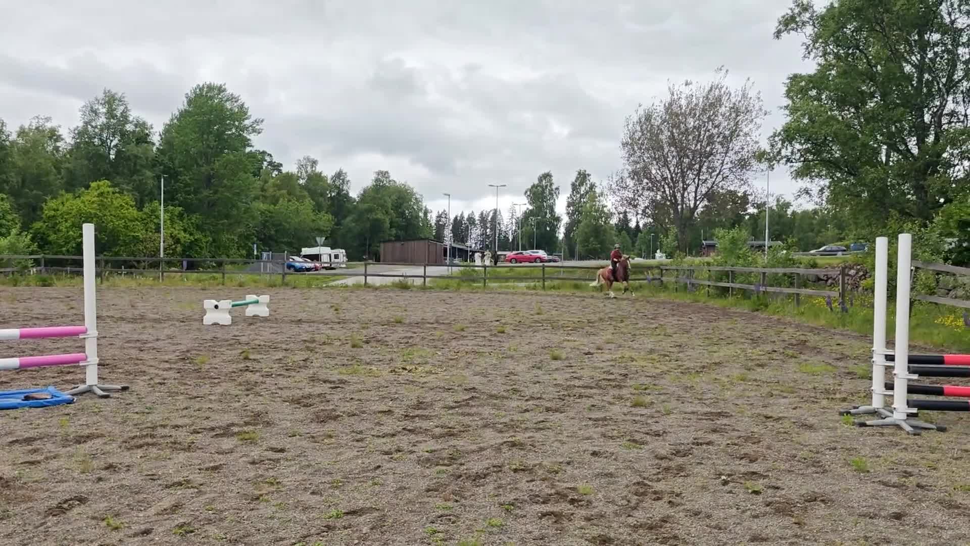 Hoppning hästar till salu: C-ponny för framtiden  - Video 1