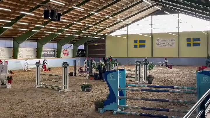 Hoppning hästar till salu: Läromästare med hjärtat på rätt ställe!  i Skövde - Video 1