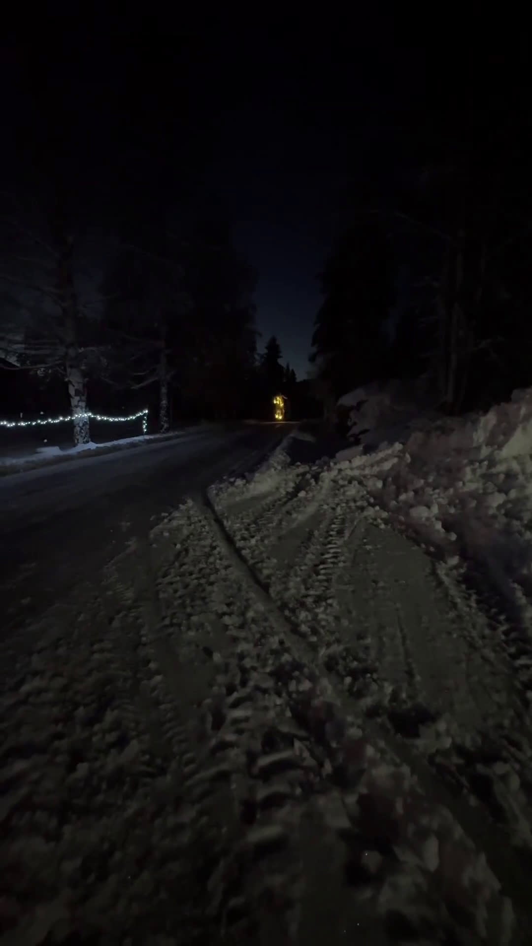 Allround hästar till salu: Vitt prins - Video 5