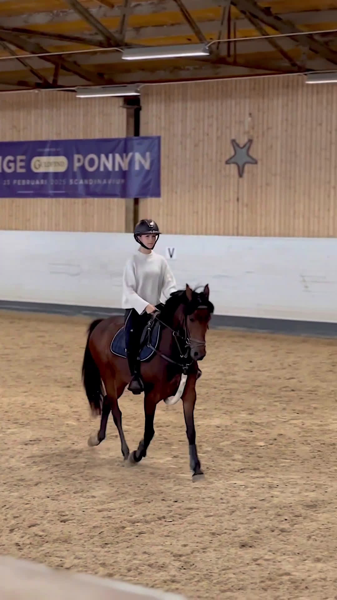 Allround hästar till salu: ⭐️ Trevlig C-ponny ⭐️ i Klippan - Video 1