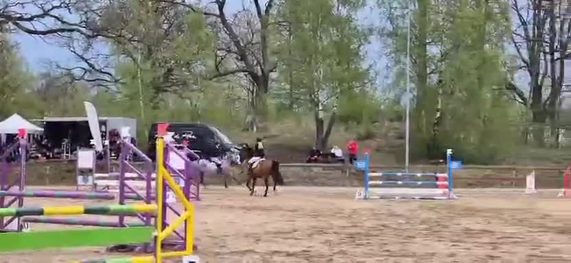 Hoppning hästar till salu: Fantastiskt fint sto  - Video 5