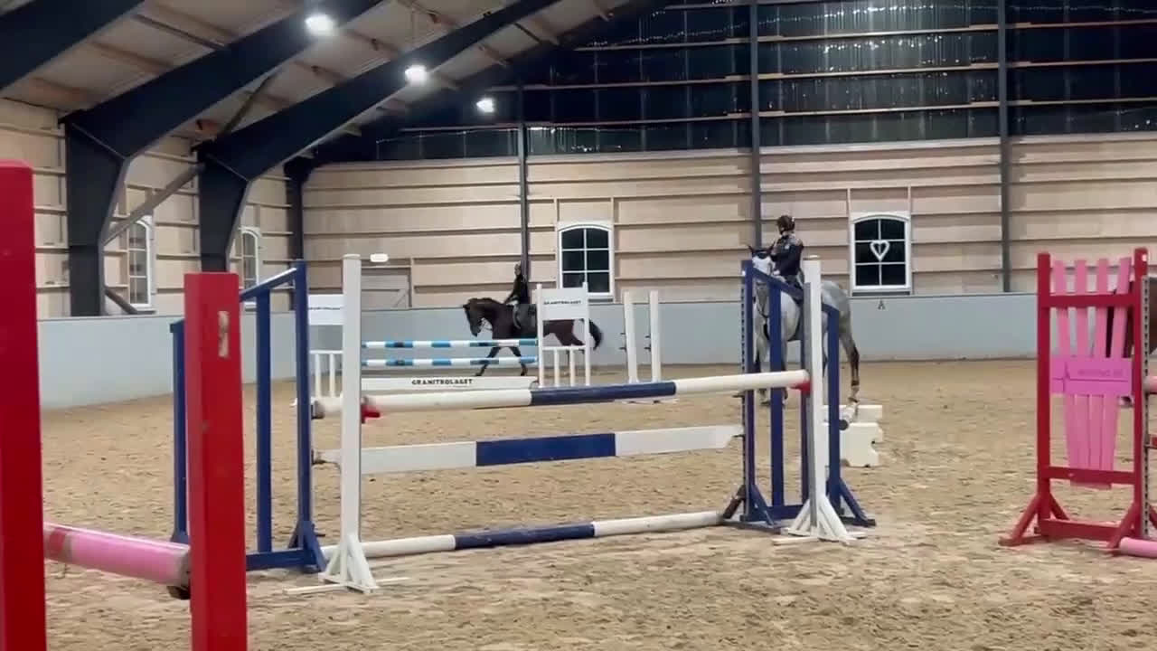 Hoppning hästar till salu: Fin hopphäst i Onsala - Video 1